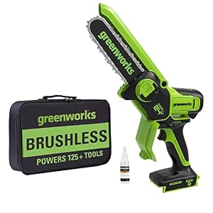 Greenworks 24V Akku-Astsäge 15,2 cm
