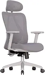 Cadeira Ergonômica Samaia Mesh com Apoio Lombar, Assento Confortável e Ajuste de Altura – Ideal para Escritório e Home Office