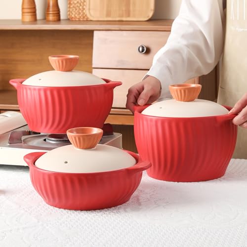 Cacerola de cerámica antiadherente, olla de arcilla, olla de tierra con tapa, olla para guisos, sopa, vapor, apta para horno, resistente al calor