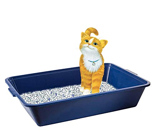 Fresh Step Recycled Plastic Litter Box For Cats | Waterproof Litter Tray For Cats Made From Recyclable Material, Litter Box Litter Pan Accessories For Cats 17.25" X 13.25" #TOP2