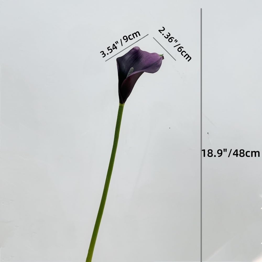 calla lily様 お取り置き中 Sophisticated White Calla Lily | Victorville, CA