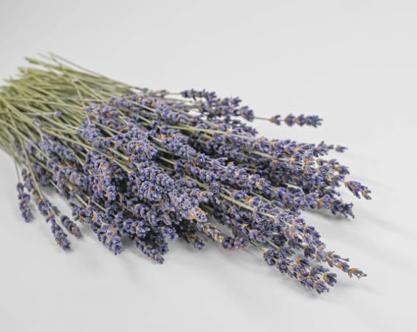 Super Blue Royal Velvet Lavender Bunch, Dried English Lavender, Deep Lavender Blooms, Wedding Flowers, 8-10 Inches, Case of 20 Bunches
