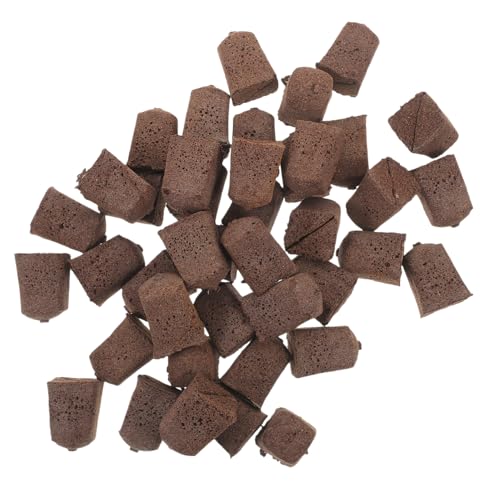 SHINEOFI Cubes De Culture Hydroponique Blocs Nutritifs pour Plantes 40 Pièces pour Germination Et Transplantation Facilement Biodégradables