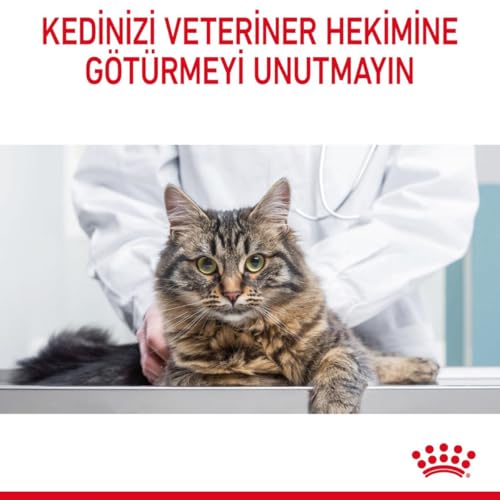 Image of Royal Canin Hair & Skin Care Cat Food, 2 Kg, Dry Food, Supports Healthy Skin and Shiny Coat, Proven Results in 21 Days