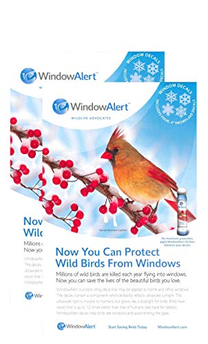 WindowAlert Snowflake Decals… (2)