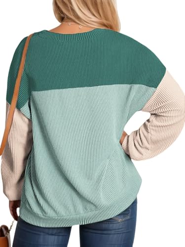 Image of DOLNINE Plus Size Tops for Women Long Sleeve Color Block Ribbed Knit Tunic