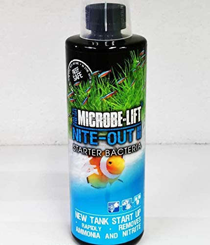 MicrobeLift NiteOut II (16 oz)