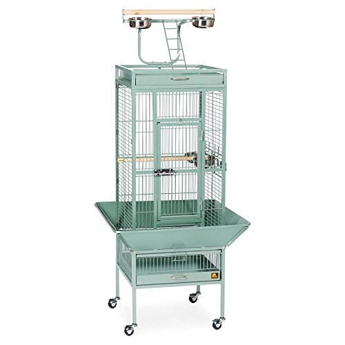 Image of Prevue Pet Products Wrought Iron Select Bird Cage - Steel Cage with Rolling Stand and Seed Guards, Durable Design, Ideal for Cockatiels and Medium Birds - Sage Green