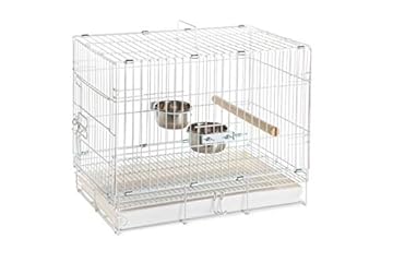 Bird Travel Cage for Multiple Birds – What You Didn't Know You Needed 2 bird travel cage for multiple birds