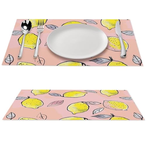 Sets de table lavables cuisine imperméable résistant chaleur - 2