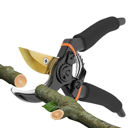 ΂ y2025lCt̂߁zJő45mm SK85Yf|n s | hK tbfR[eBO yʃA~nh bNt |pi }؃oT~ | ʎ |  ~ ϗtA K[fjOp [sAi]