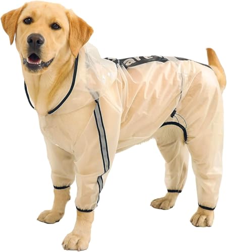Imperméable pour chien avec capuche transparente pour balade nocturne M - 2