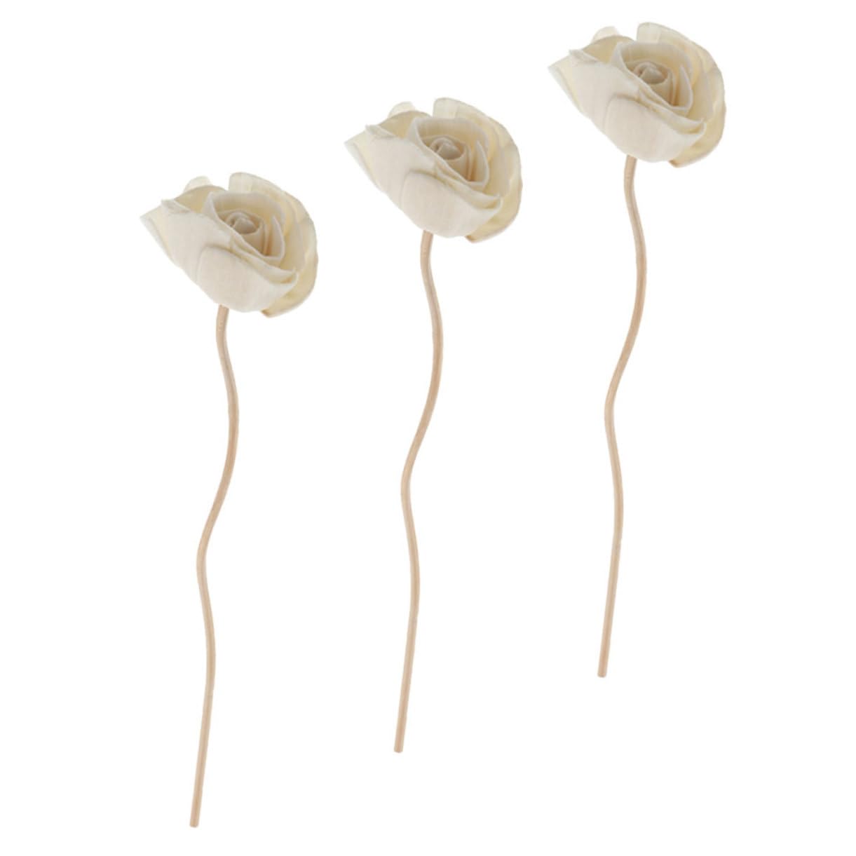 STOBAZA 15stücke Teiliges Duftstäbchen Aus Naturmaterialien Für Raumduft Und Aromatherapie Deko Für Zuhause Für Verbesserte Atmosphäre Und Luftfrische