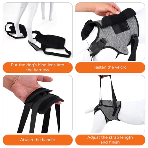Image of Dog Sling for Medium Large Dog Rear Leg, Lift Harness Provide Support with Muscle Atrophy and Joint Problems for Elderly Injured Arthritic Pet, Dog Weak Rear Legs Provides Rehabilitation Aid