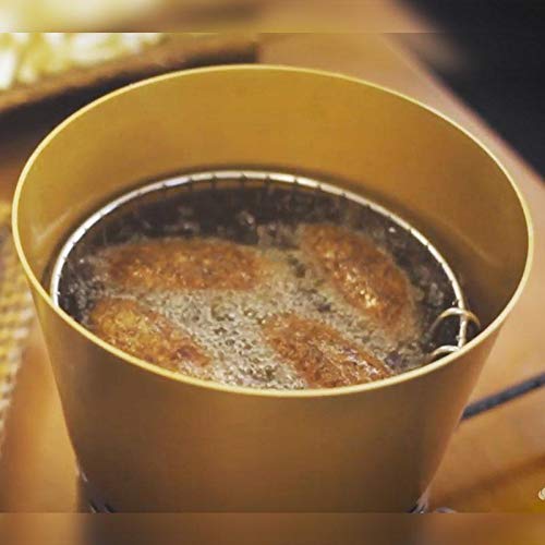 Progás, P35163, Fritadeira Tacho Fritador Elétrico Pirogas 1 litro 220V, Cor Inox, Aço