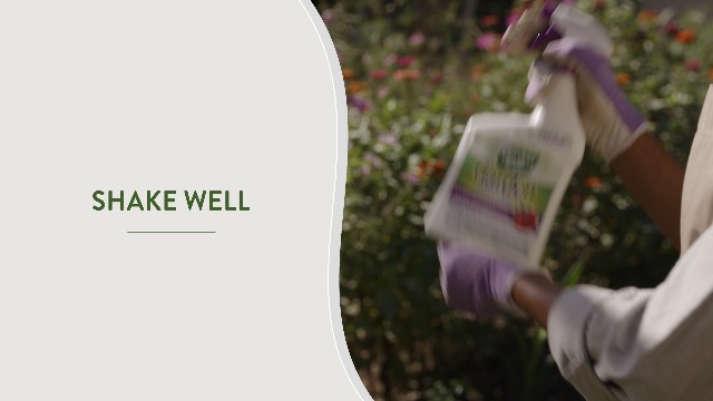 Garden Safe Brand Multi-Purpose Garden Insect Killer2, 32 Fluid Ounces, Kills 100+ Listed Insects on Contact, For Use in Homes, Home Gardens & Home Greenhouses Up to Day of Harves