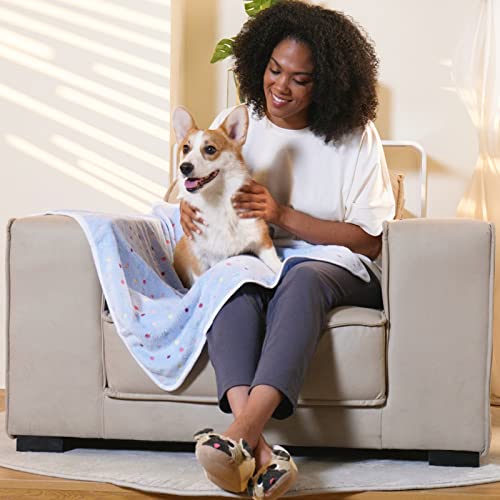 luciphia Hundedecke Katzendecken Waschbar Flauschig, 1 Pack 3 Decken Super Weich Fluffy, Kuscheldecke Fleece Haustier Decken für Hunde Katzen, Kann für Sofas, Autos, Betten, Punkte 52 * 76cm