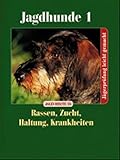 drahthaar foxterrier erziehung  Jagdhunde 1