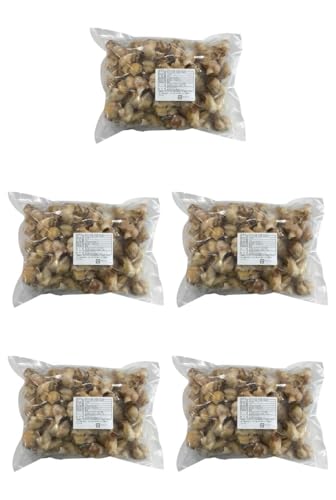 pY {CԊLނg 50?70 1KG×5pbN (܂Ƃߔ) (VandroSt)