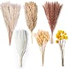 100PCS Natural Dried Pampas Grass Decor 175 Fluffy Pampas Grass Bouquet Boho Home Decor Dried Flowers for Wedding Floral Room Home Party Table Decorations