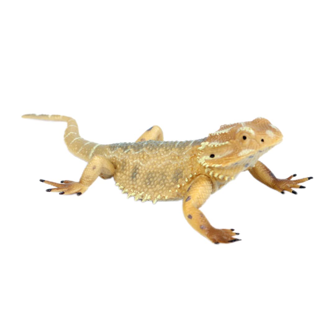 Faroby Simulation Bearded Dragon Lizard Reptile Model Toy Lizard Action Figure Artificial Educational Toy