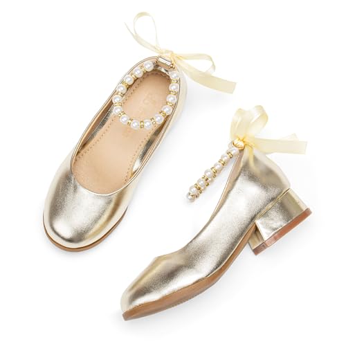 Image of THEE BRON Girls Low Heel Dress Shoes Mary Jane Party Wedding Flower Girl Pumps