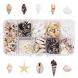 Pequeñas conchas, más de 210 unidades de decoraciones de conchas naturales con conchas, caracoles marinos y estrellas de mar, ideales para manualidades, rellenos de jarrones, acuarios, decoración de