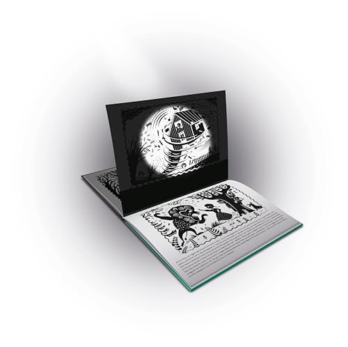 Il Mago Di Oz. Ediz. Illustrata. Con Torcia Led - 2