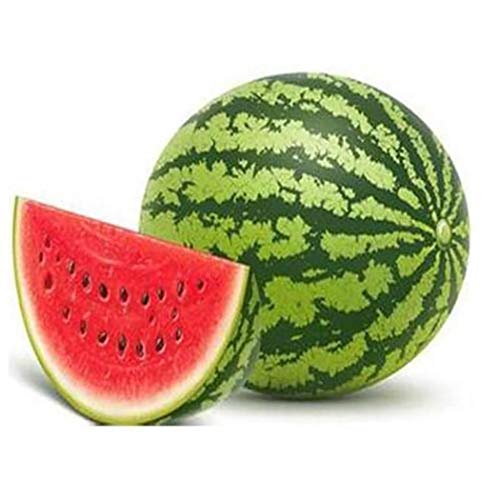 Sisaki 10 pcs/sac Graines de pastèque rouges Graines