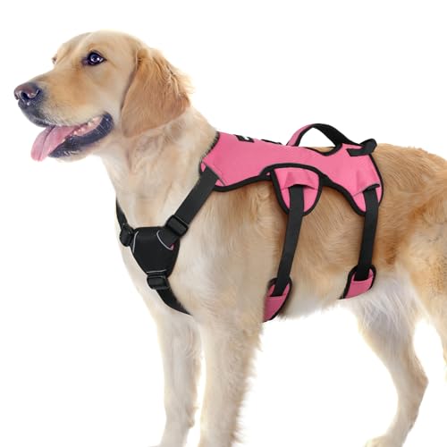 Gallery Detail: Hiking Harness For Dogs The 15 Best Products Compared