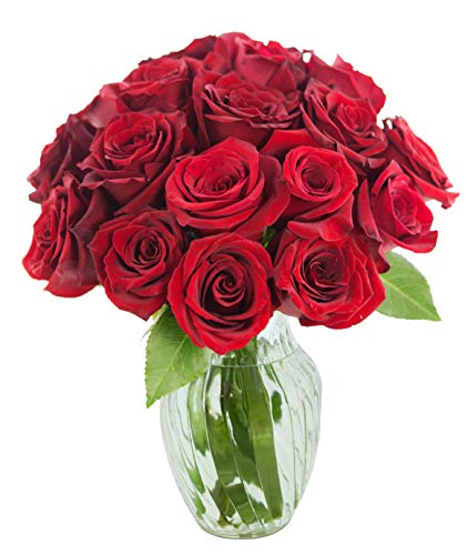 KaBloom-18 Red Rose Bouquet, Flowers for Valentine, Mother's Day