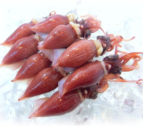 z^CJ t̐V uG {Cz^CJ xRpY300g ① gz^CJ (PpbN300gj