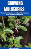 GROWING MULBERRIES : The beginner's guide to growing Mulberry plants from varieties to harvesting (Berries farming)