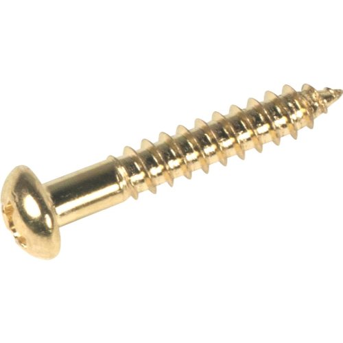 Screw - Bigsby, Hinge Screw, Reg. #125, Gold