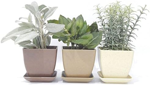 Herb Garden Kit (Earth Tones)