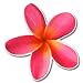 Plumeria Hawaiian Flower Tropical Vinyl Sticker - Car Phone Helmet - SELECT SIZE