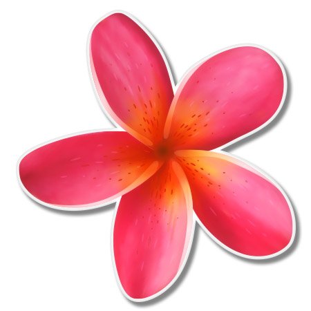 Amazon.co.jp: プルメリアハワイアンフラワートロピカルビニール