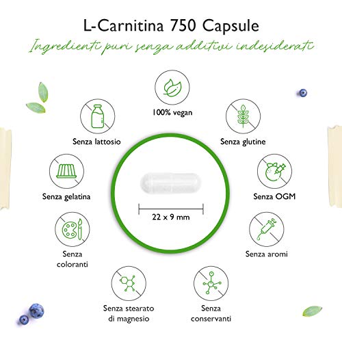 Vit4ever L-Carnitin 750