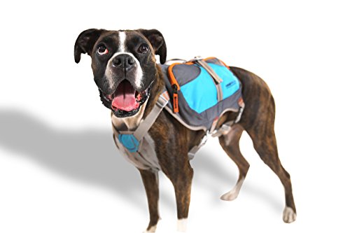Cesar Millan Dog Backpack™ - Hunderucksack des Hundeflüsterers Cesar Millan™
