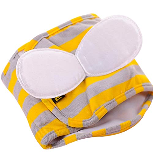 ppc hbOEFA p}i[xg pi ^ ybg ybgPApi Ypi }WbNe[vdl Rbg ~co`l  TCYS TONAPEETO