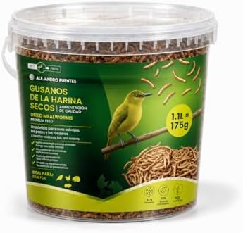 AF® Gusanos de la Harina Deshidratados 175g, 1,1L Tenebrios Molitor Natural para Reptiles, Erizos y Gusanos para Pájaros, Snack Alto en Proteína 52%, Comida para Vencejos 100% Natural