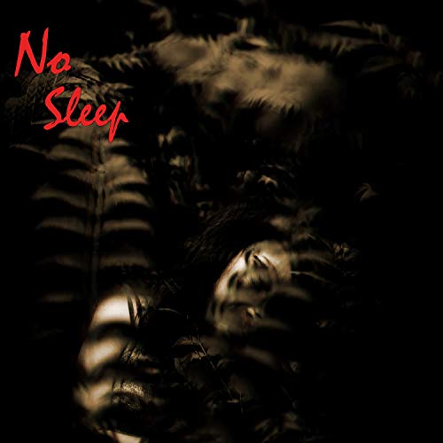 No Sleep ChillHop Addiction Digital Music