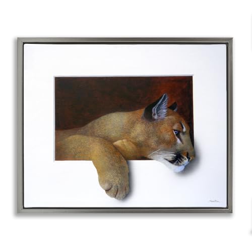 Wild Cougar Resting Head Illusion, 25 x 31 Inch Canvas in Floater Frame