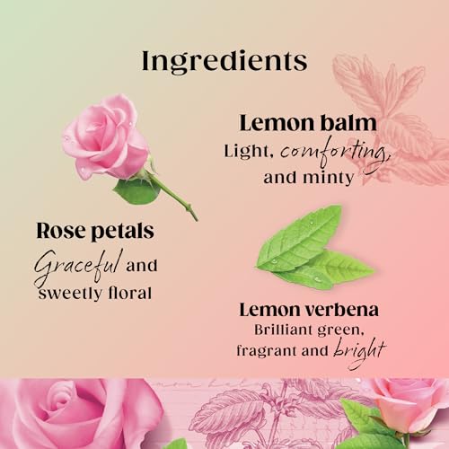 Twinings Superblends Balance Tea - Lemon Balm. Lemon Verbena, Rose Petals & Spearmint with Vitamin B6 - Hormone Balance for Women, 80 Biodegradable Tea Bags