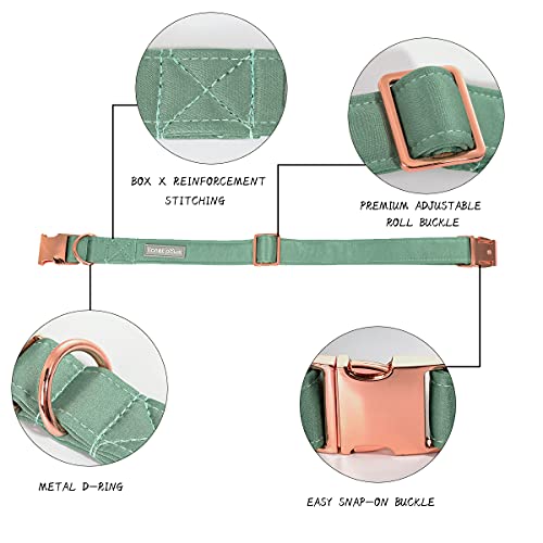 Lionet Paws Bowtie Dog Collar - Comfortable Silk Green Dog Collar with Detachable Bow Tie for Medium Dogs Neck 34-55cm - Image 2