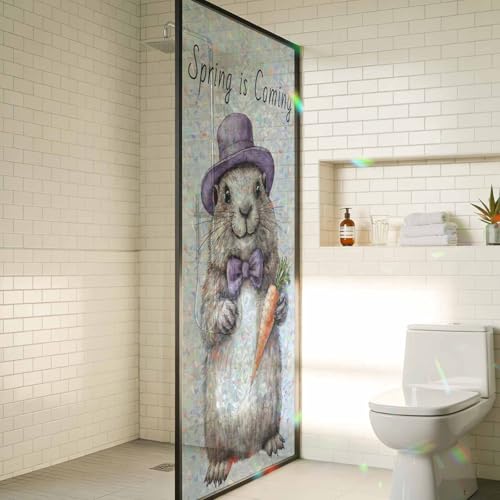 Vinilo decorativo ventana privacidad arcoíris 17.7x39.3 pulg miniatura 6