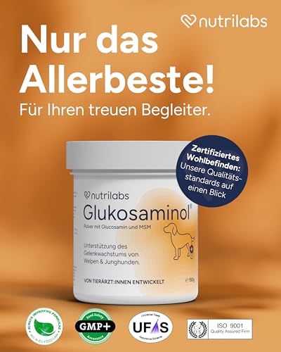 NutriLabs Glukosaminol® Kleintier Gelenkpulver für Hunde-Welpen 150 g - mit MSM, Artischocke, Glucosamin, UVM. - Hundewelpen Nahrungsergänzungsmittel - Gelenkgesundheit Welpen