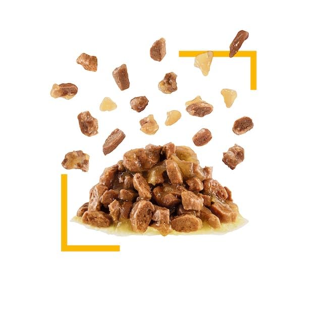 ROYAL CANIN Sensory Taste | Doppelpack | 2 x 12 x 85 g | Alleinfuttermittel für ausgewachsene Katzen | Stückchen in Gelee | Kann dabei helfen den Geschmackssinn anzuregen