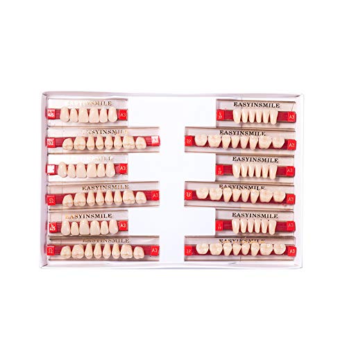 Image of Easyinsmile Dental Synthetic Resin Teeth A2 A3 False Upper Lower Teeth Replacement Dentures for Halloween (A3, Full Set 425+U37+32)