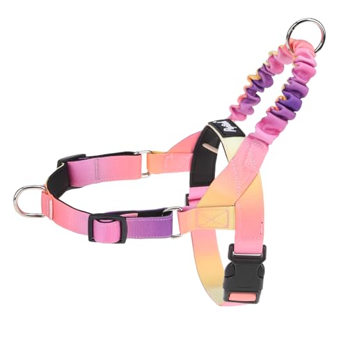PUPTECK No Pull Dog Harness Small Sized Dog, Adjustable Reflective Pet Vest Harness with Bungee Handle, Escape Proof No Choke Harness for Small Dogs Walking Training, Pink & Purple M